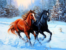Lade das Bild in den Galerie-Viewer, GOLDEN Gemälde Diamond Painting zubehör bilder Weihnachten 30 x 40cm (Pferd)
