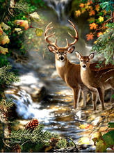 Lade das Bild in den Galerie-Viewer, GOLDEN Kreativse Diamond Painting zubehör bilder Weihnachten
