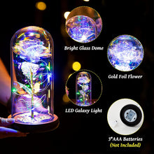 Lade das Bild in den Galerie-Viewer, GOLDEN LED Dekofigur Das Biest Rose In Glaskuppel LED-Lichter Kristallrose Blumen Geschenk

